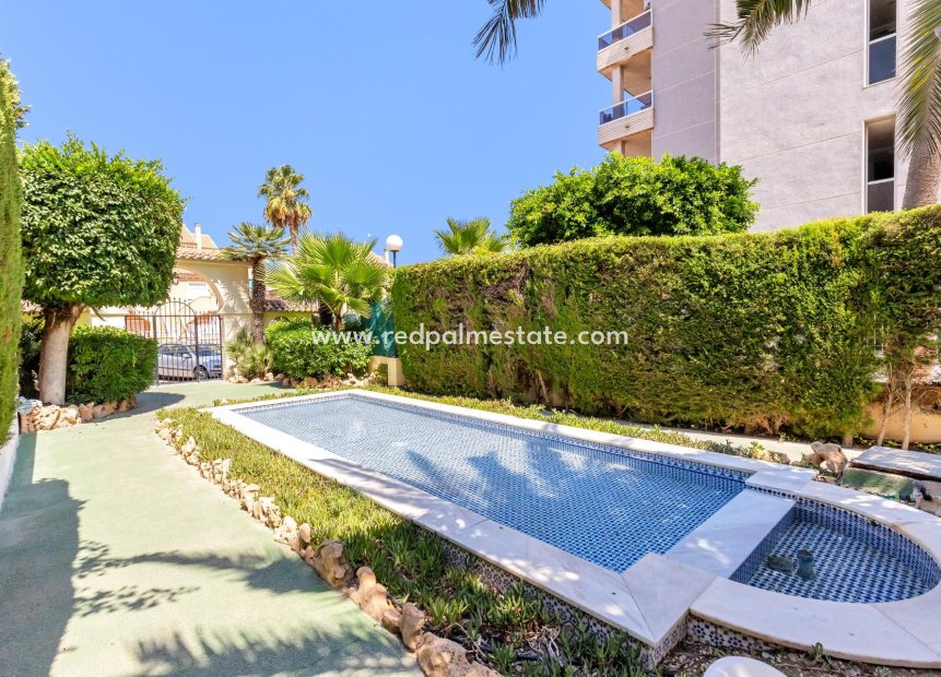 Herverkoop - Appartement -
Torrevieja - Torreblanca