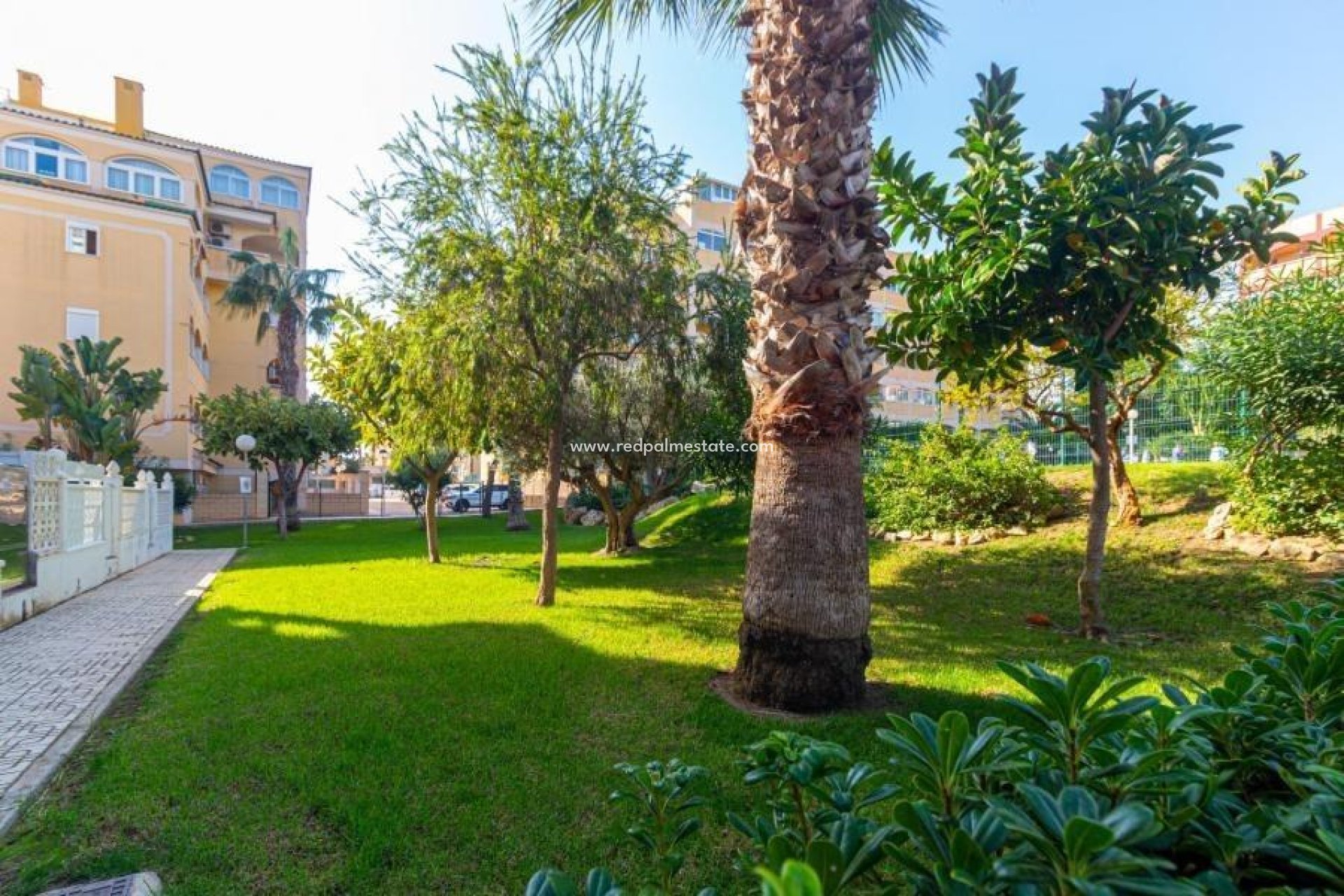 Herverkoop - Appartement -
Torrevieja - Torreblanca