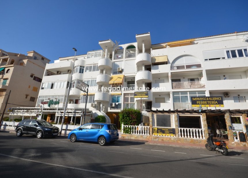 Herverkoop - Appartement -
Torrevieja - Torrejón