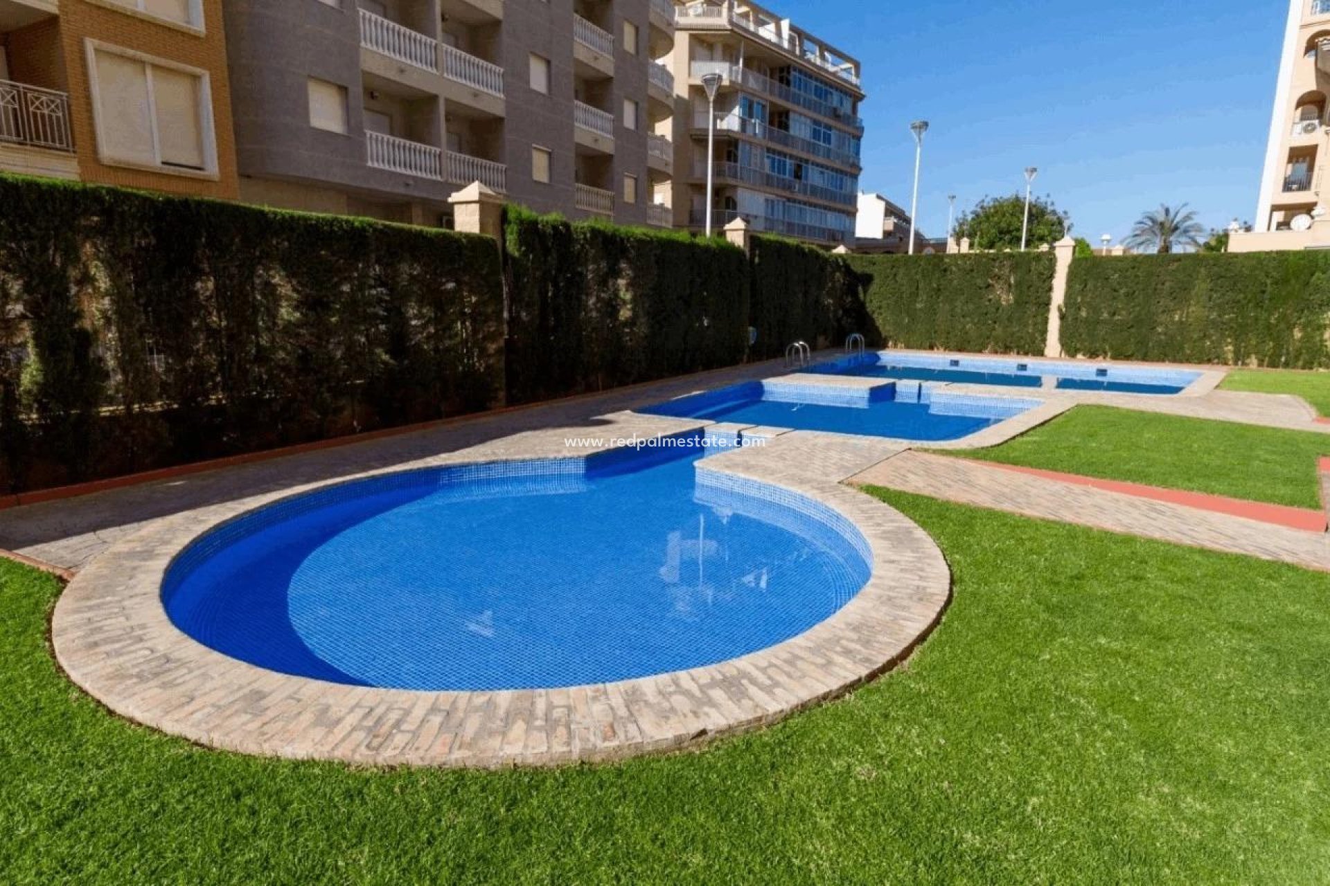 Herverkoop - Appartement -
Torrevieja - Torrejón