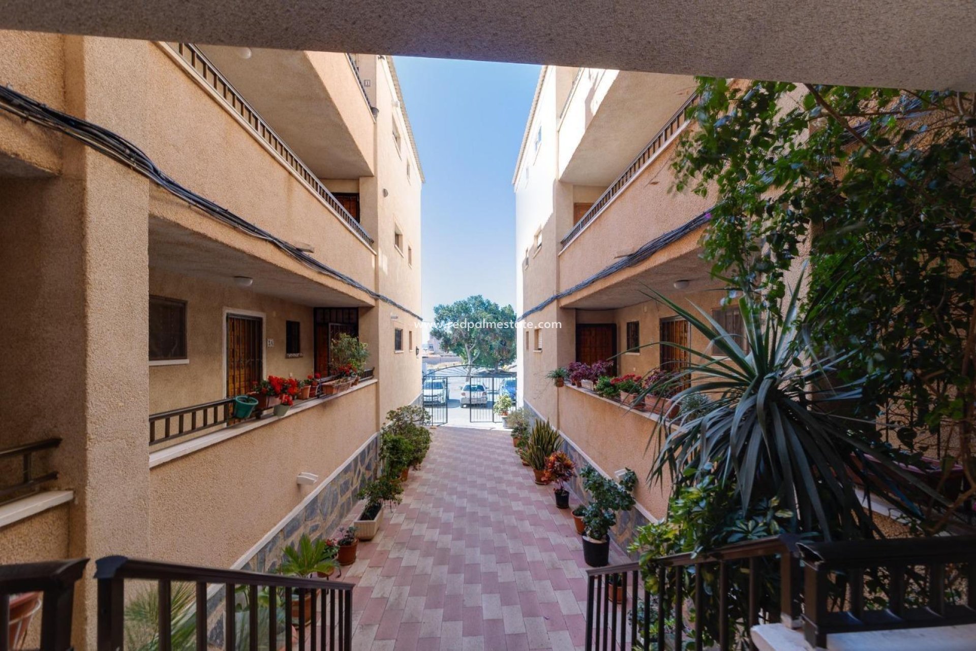 Herverkoop - Appartement -
Torrevieja - Torretas