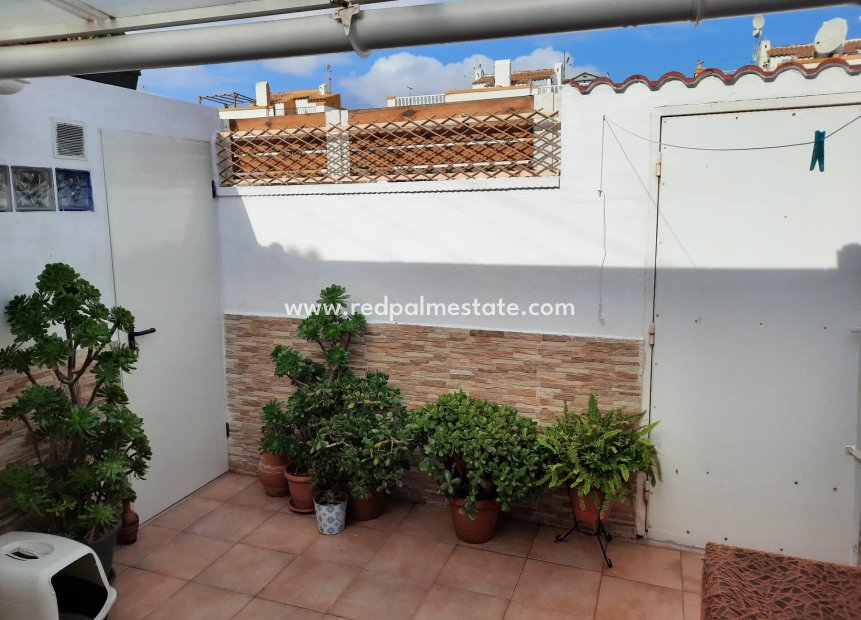 Herverkoop - Appartement -
Torrevieja - Torretas