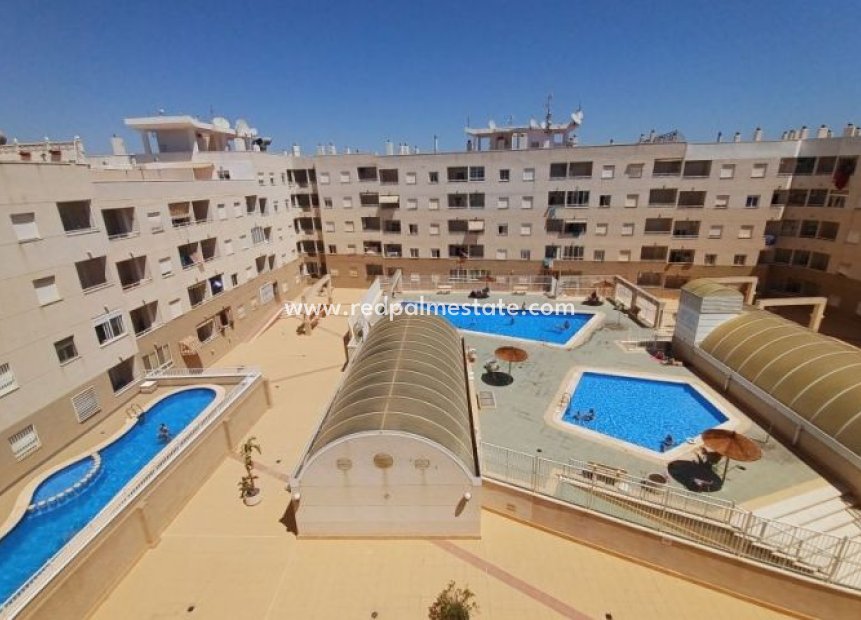 Herverkoop - Appartement -
Torrevieja