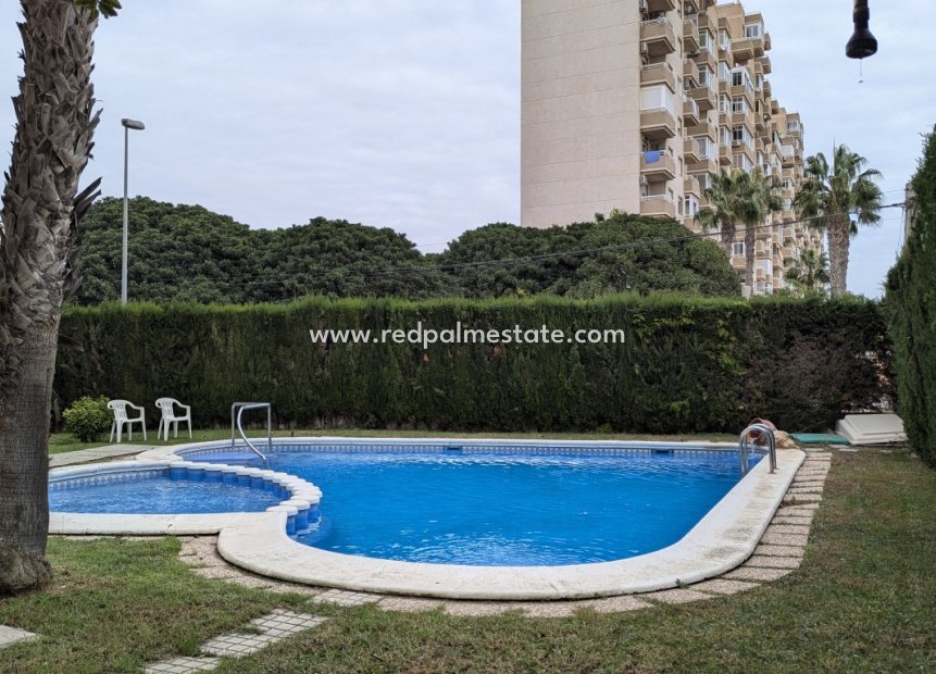 Herverkoop - Appartement -
Torrevieja