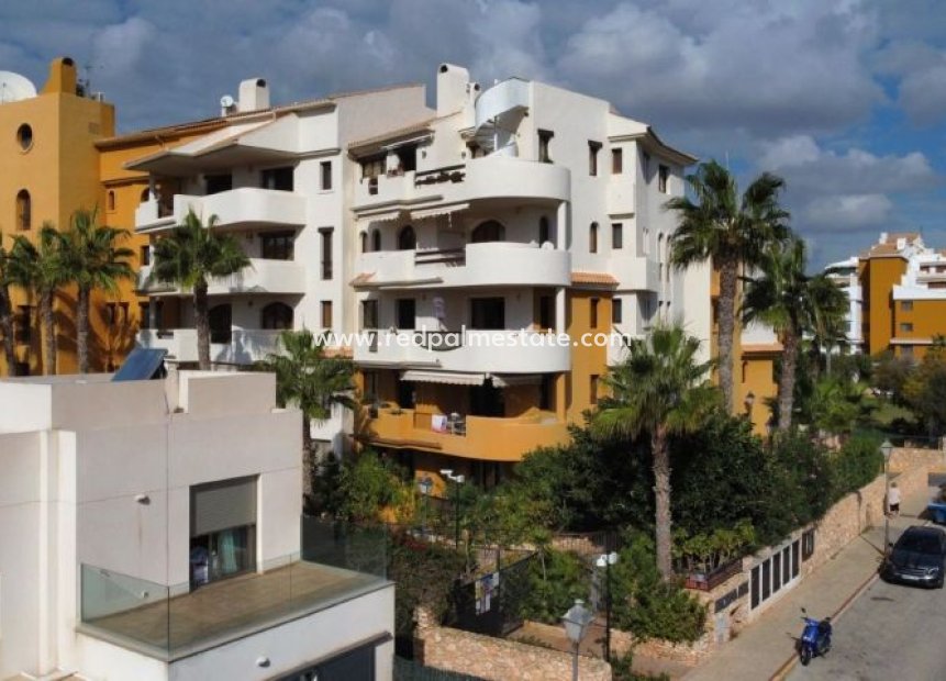 Herverkoop - Appartement -
Torrevieja