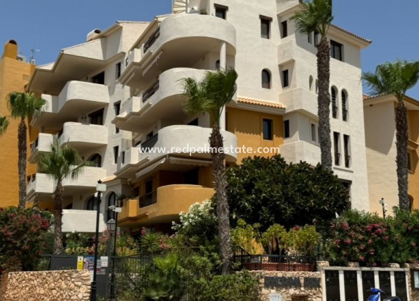 Herverkoop - Appartement -
Torrevieja