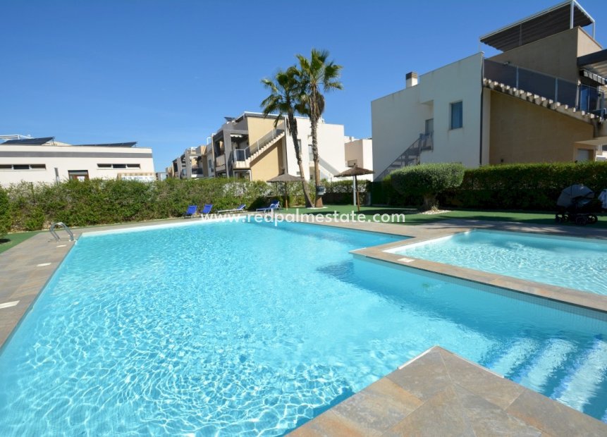 Herverkoop - Bungalow -
Guardamar del Segura - Costa Blanca