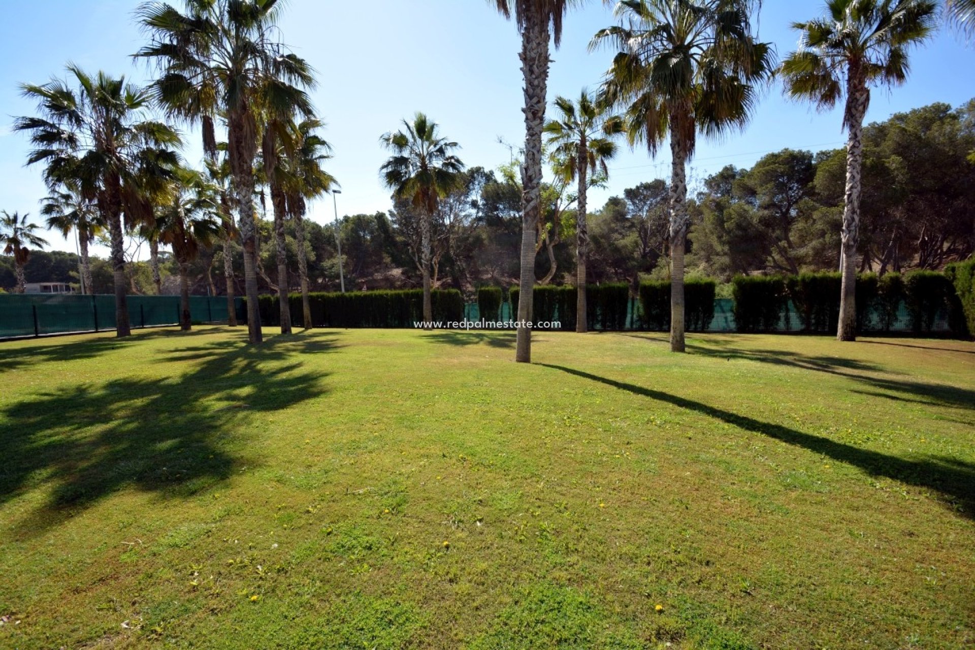 Herverkoop - Bungalow -
Guardamar del Segura - Costa Blanca