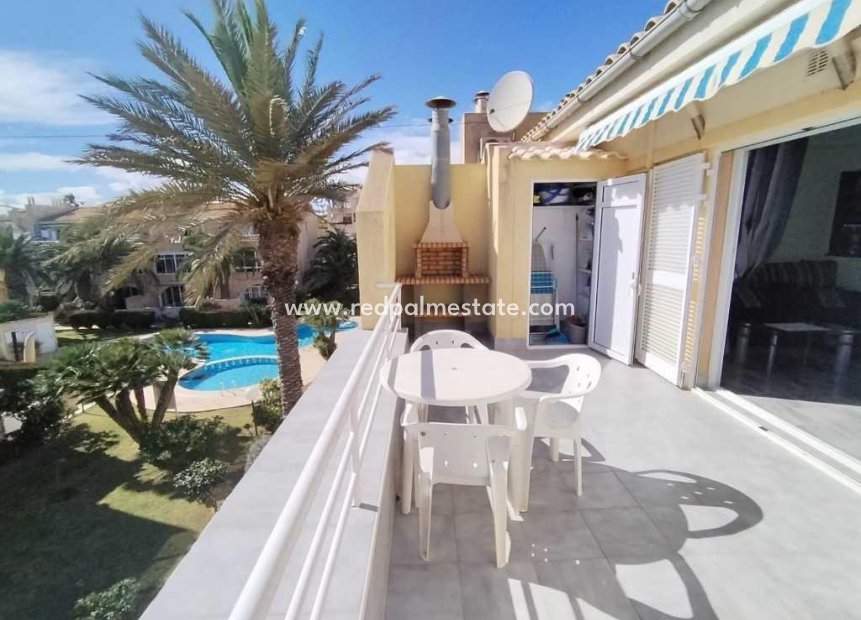 Herverkoop - Bungalow -
Torrevieja - Rosaleda-los frutales