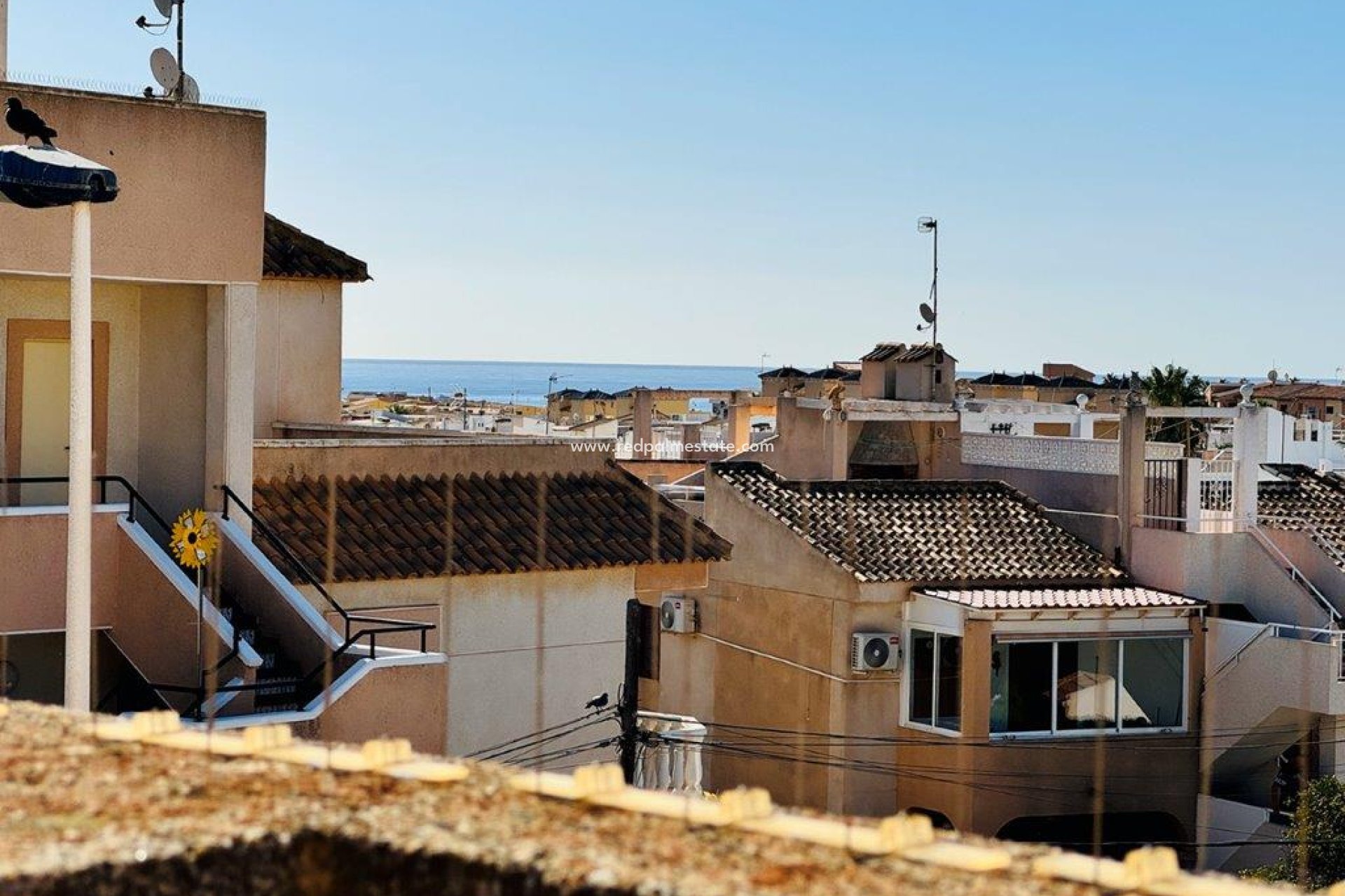 Herverkoop - duplex -
Torrevieja - Costa Blanca