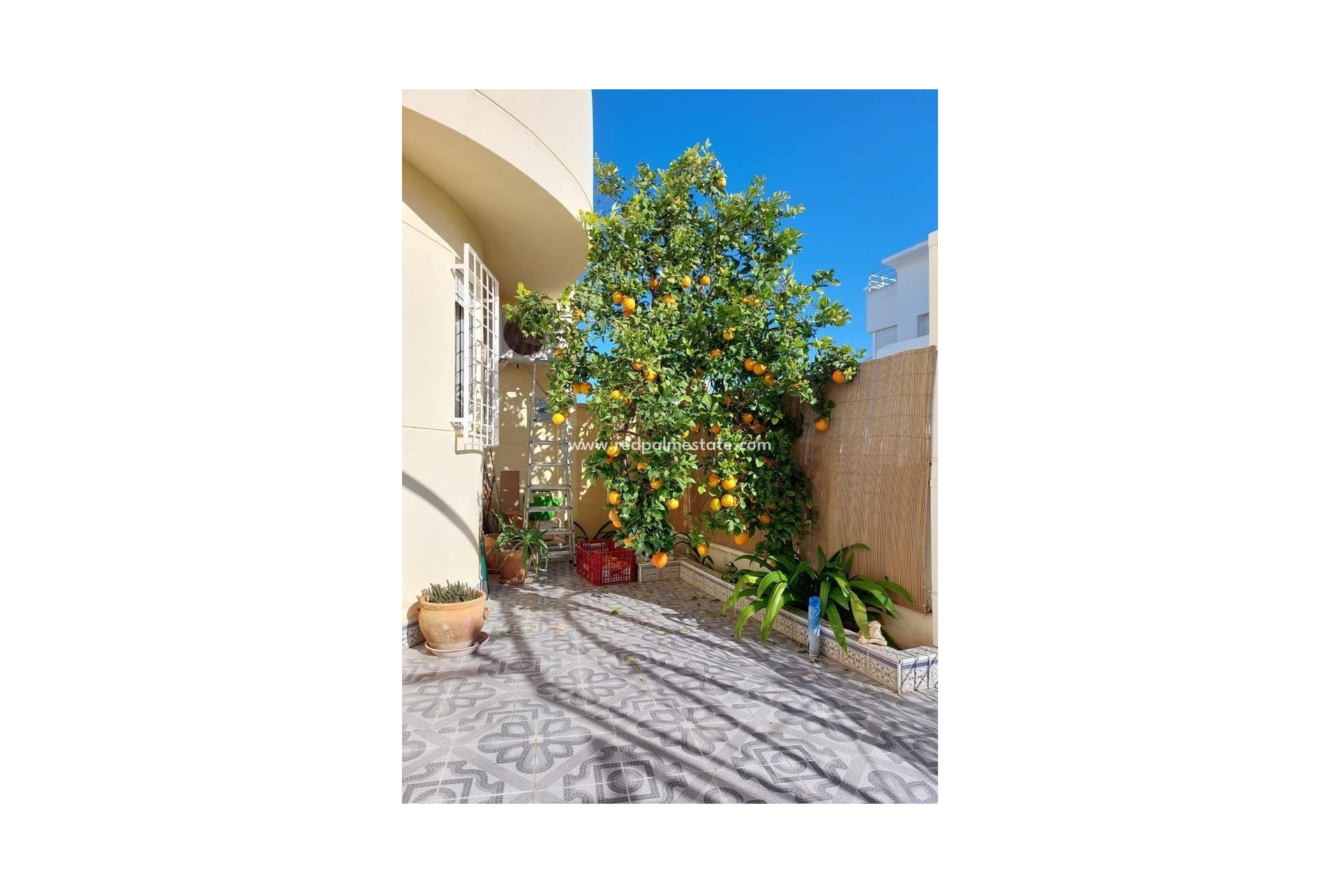 Herverkoop - duplex -
Torrevieja - Torretas