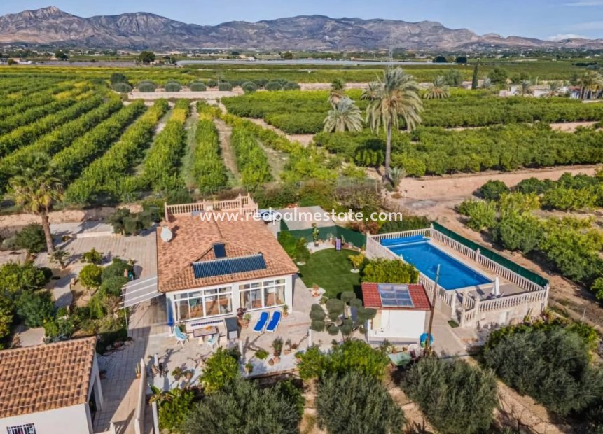 Herverkoop - Finca / Landgoed -
Albatera - Inland