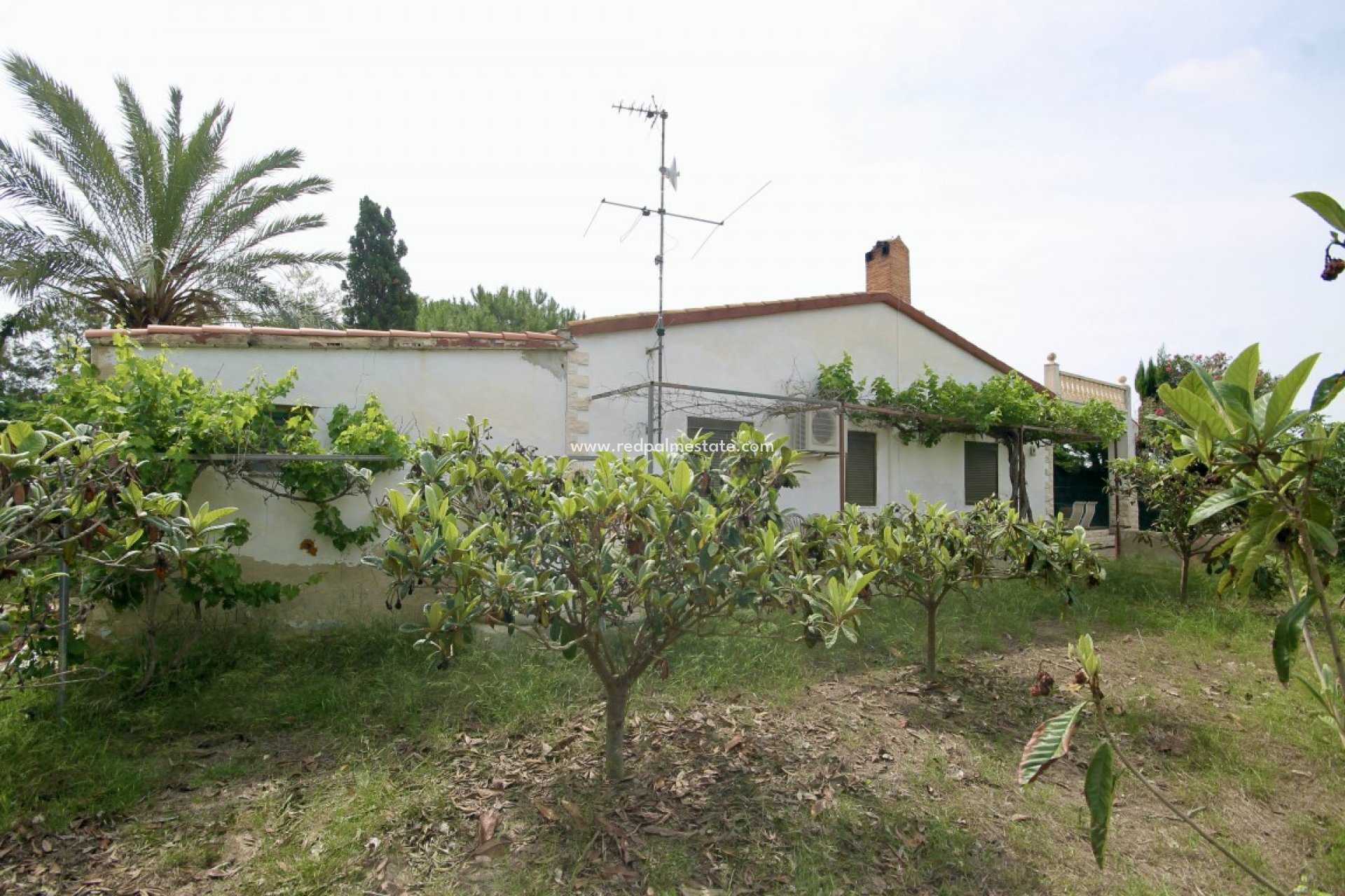 Herverkoop - Landhuis -
Guardamar del Segura - Guardamar