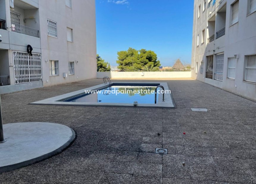 Herverkoop - Penthouse -
Torrevieja - La Mata