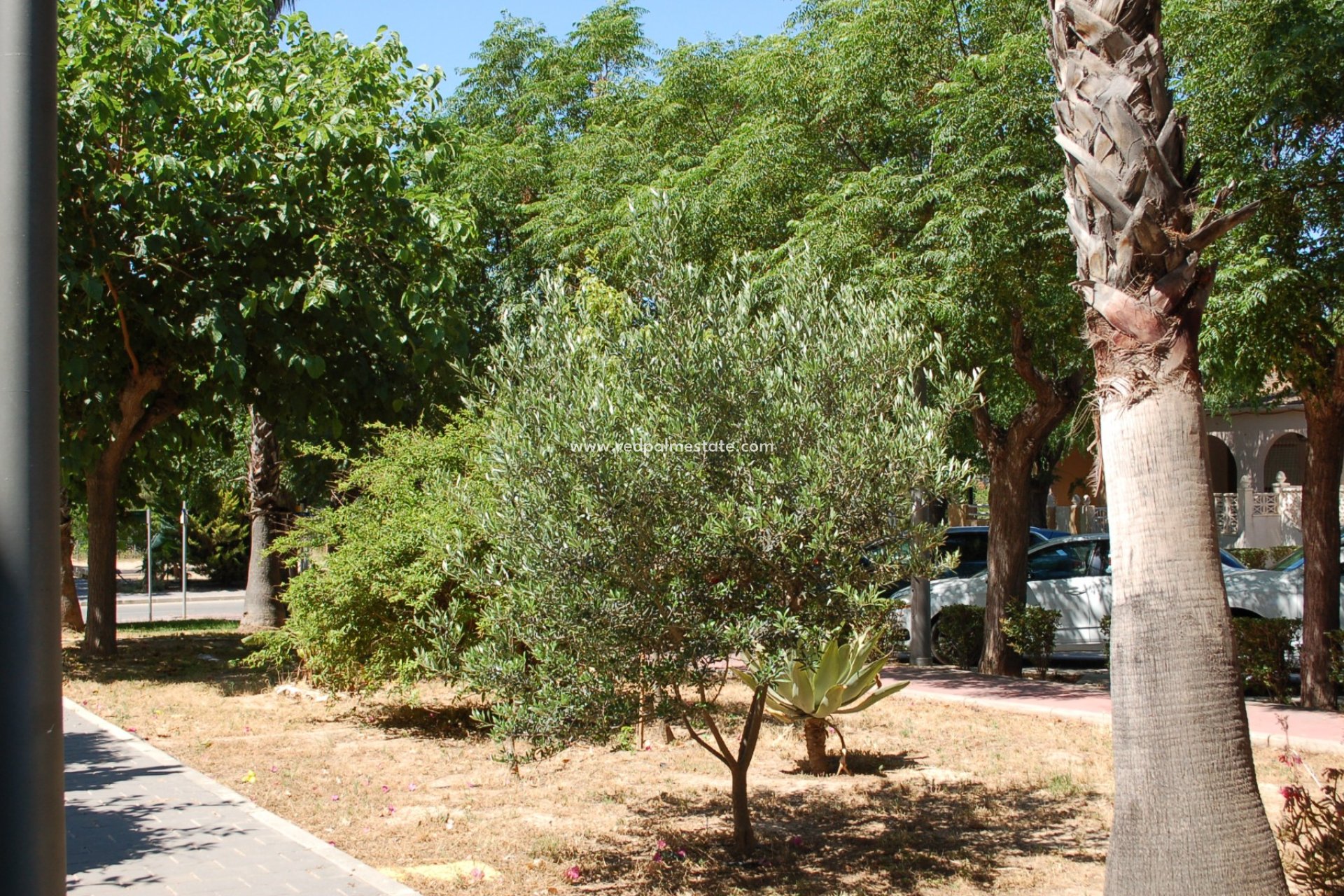 Herverkoop - Stadshuis -
Mil Palmeras - Costa Blanca