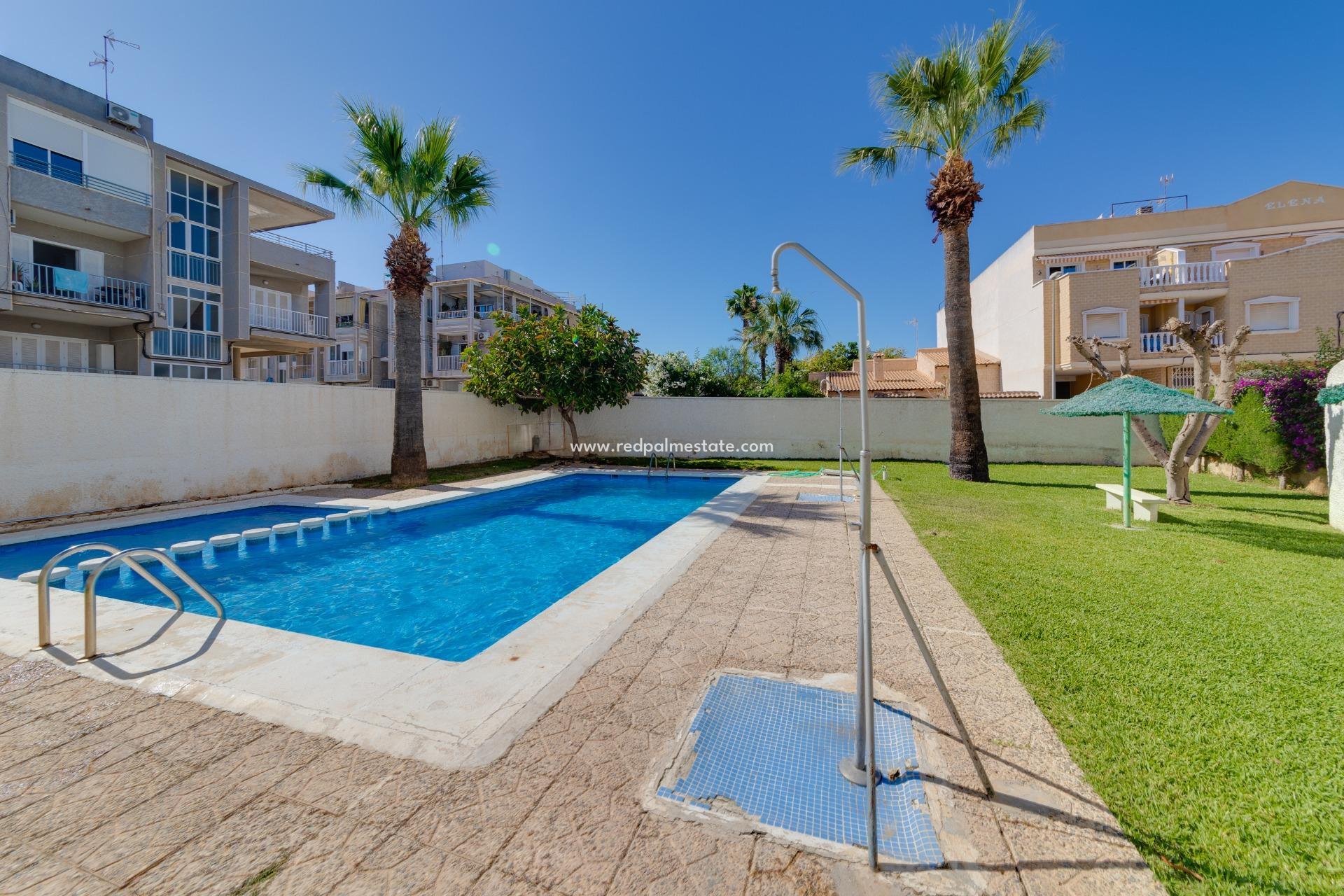 Herverkoop - Stadshuis -
Torrevieja - Calas blanca