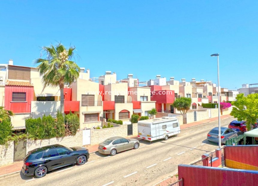 Herverkoop - Stadshuis -
Torrevieja - Costa Blanca