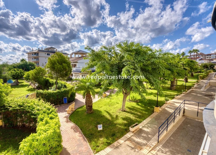 Herverkoop - Studio -
Torrevieja - Parque Acuático - Sector 25