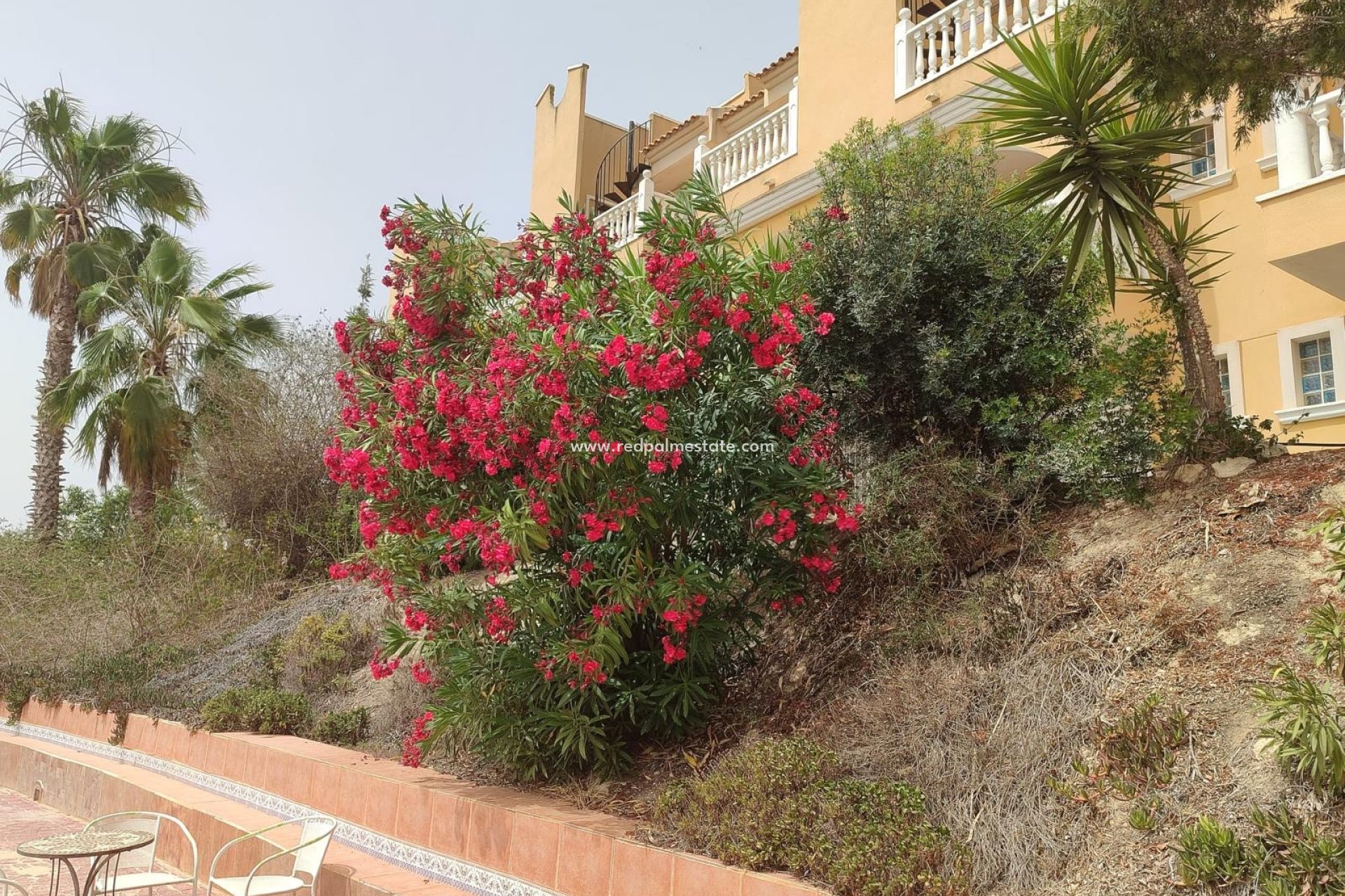 Herverkoop - Villa -
San Fulgencio - Costa Blanca