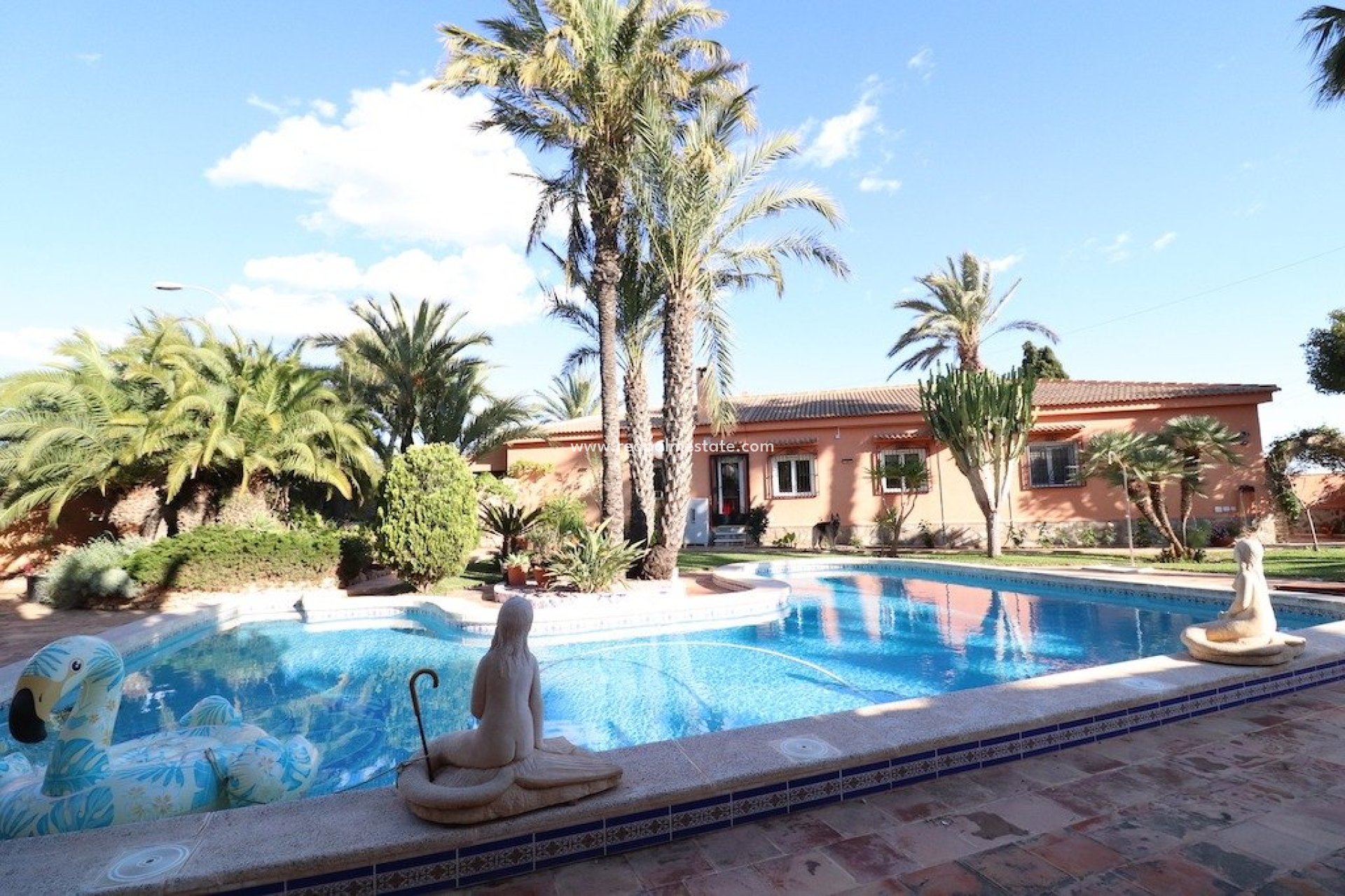 Herverkoop - Villa -
Torrevieja - Costa Blanca