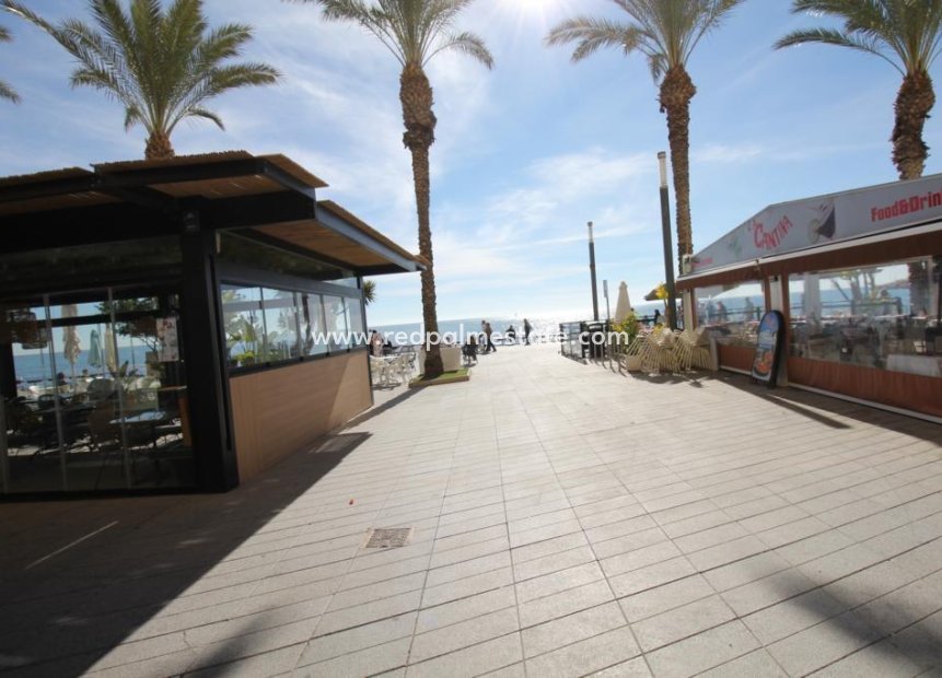 Herverkoop - Vlak -
Torrevieja - Paseo maritimo