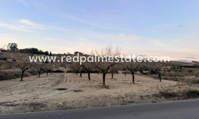 Komplott - Återförsäljning - Torremendo - Torremendo