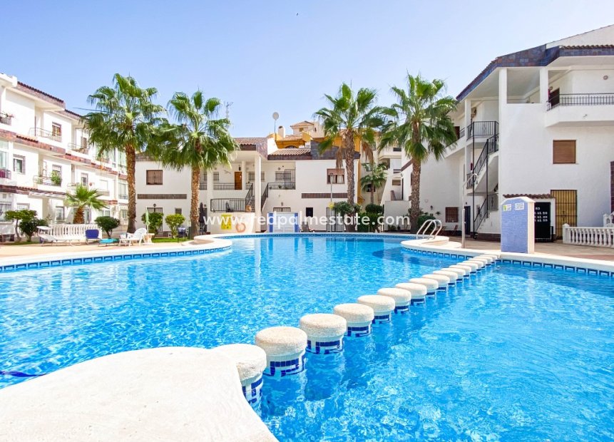 Korttidsleie - Leiligheter -
Torrevieja - Cala Dorada