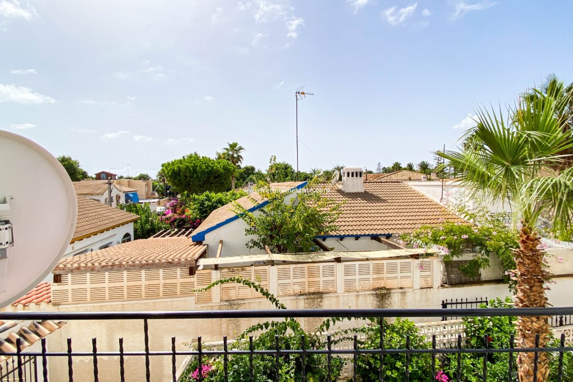 Korttidsleie - Leiligheter -
Torrevieja - Cala Dorada