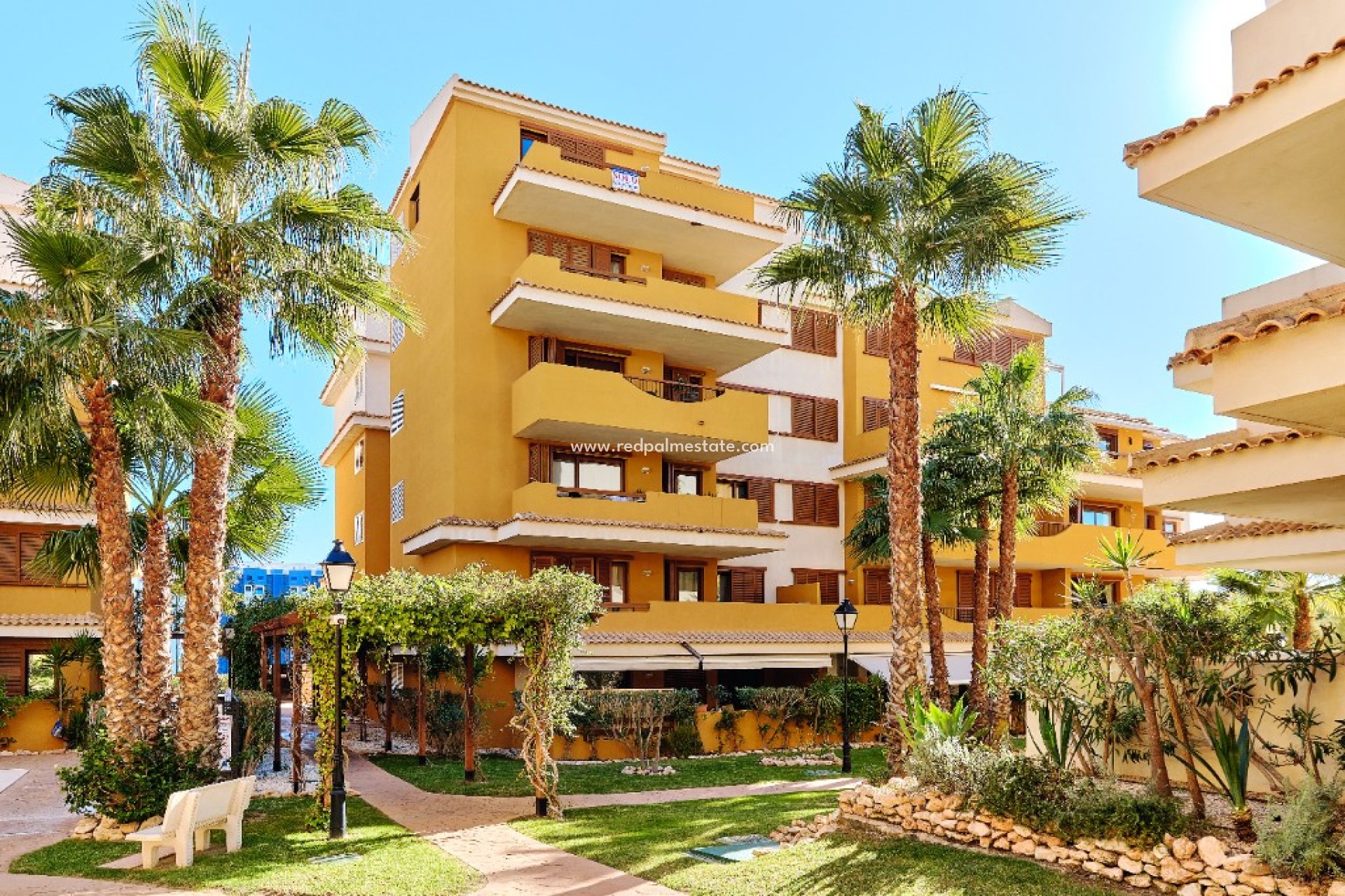 Korttidsleie - Leiligheter -
Torrevieja - La Entrada