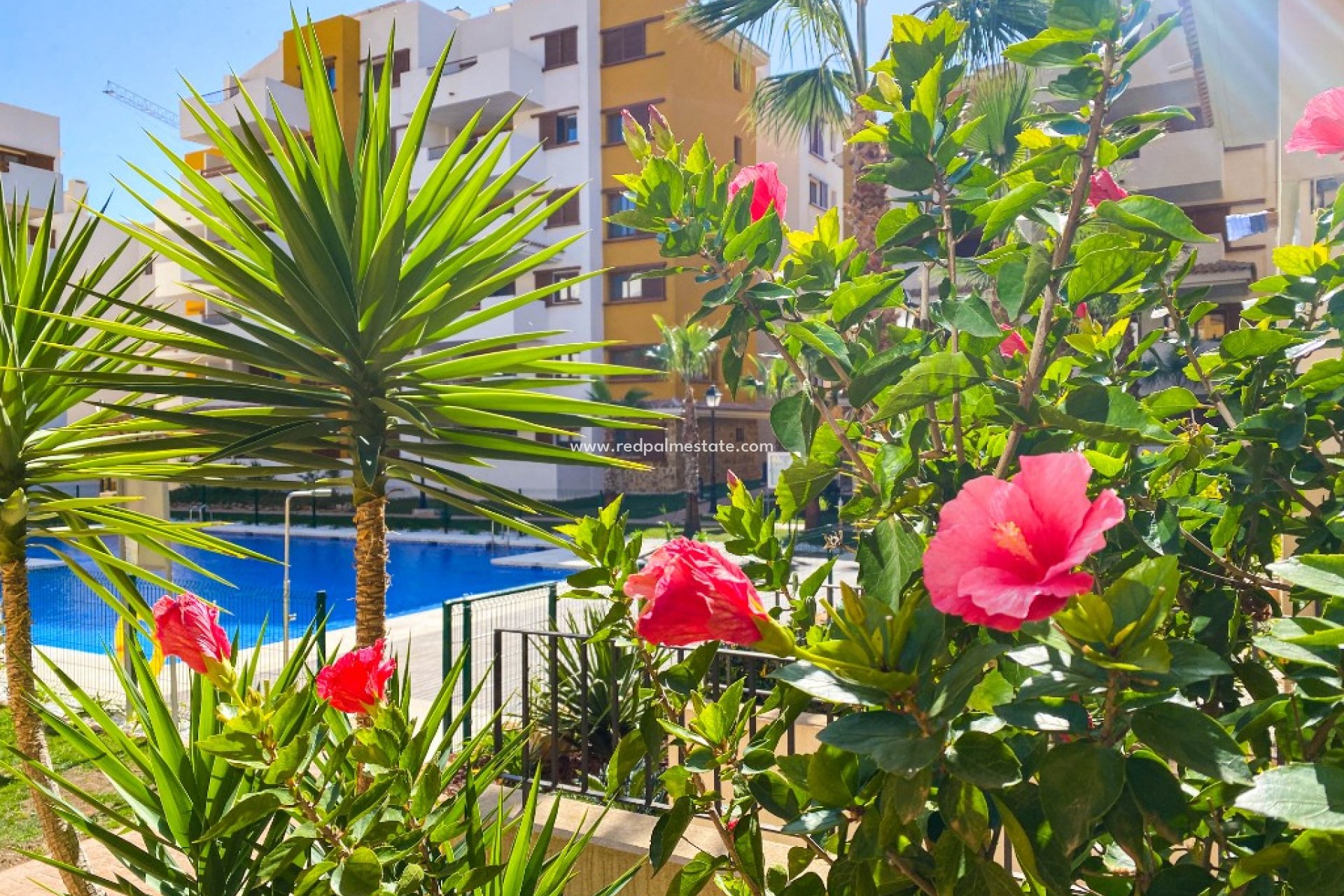 Korttidsleie - Leiligheter -
Torrevieja - La Recoleta