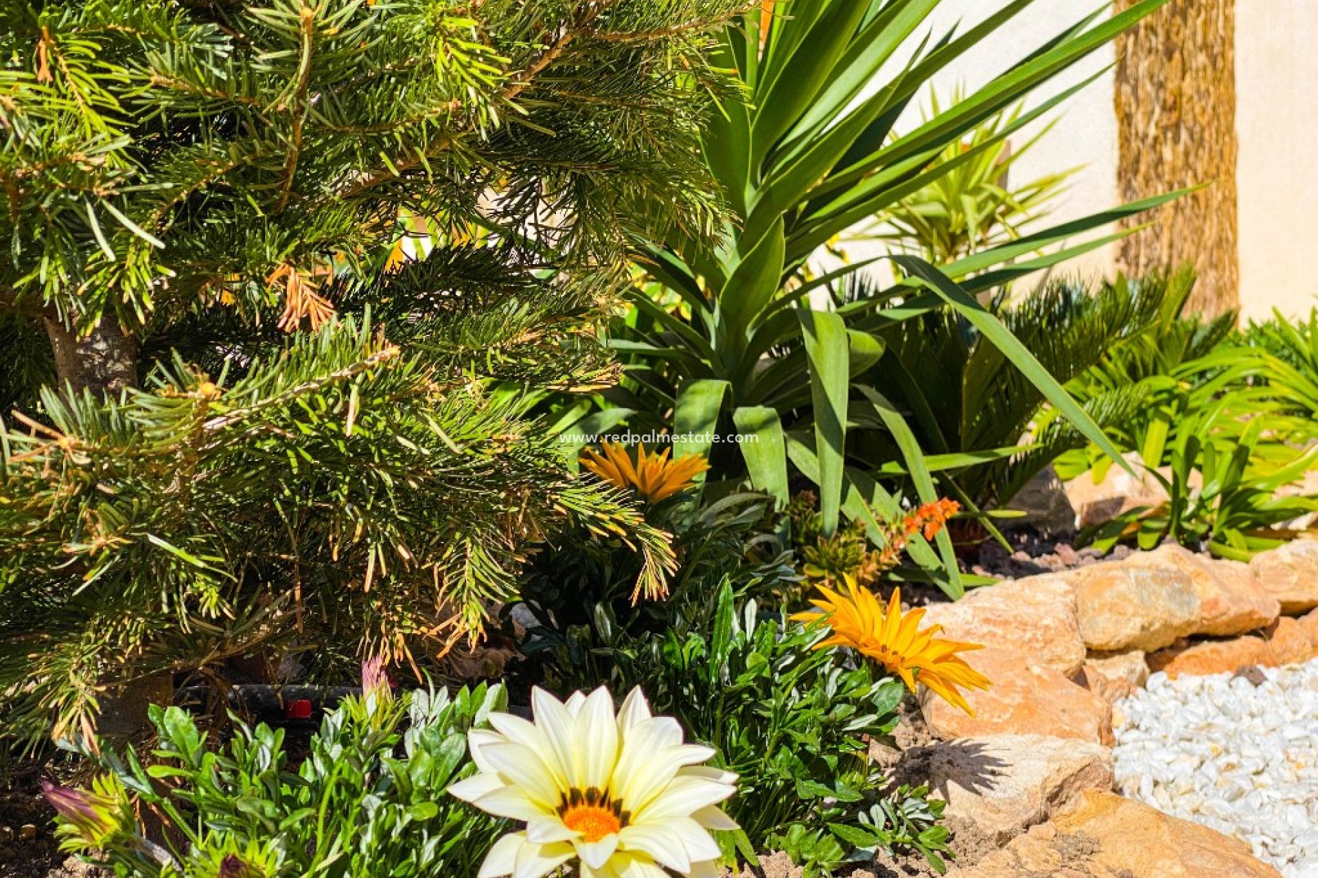 Korttidsleie - Leiligheter -
Torrevieja - La Recoleta