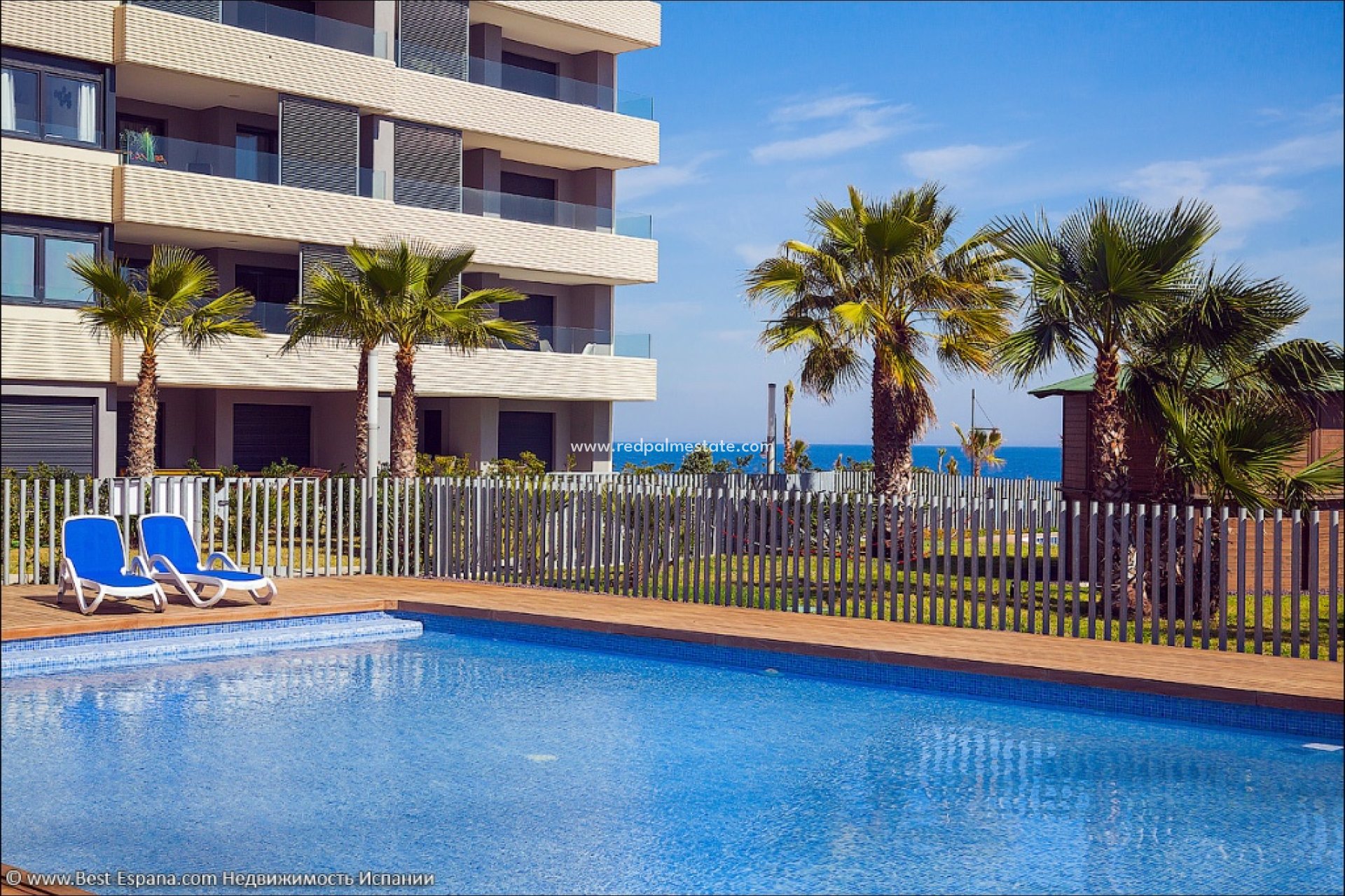 Korttidsleie - Leiligheter -
Torrevieja - Panorama Mar