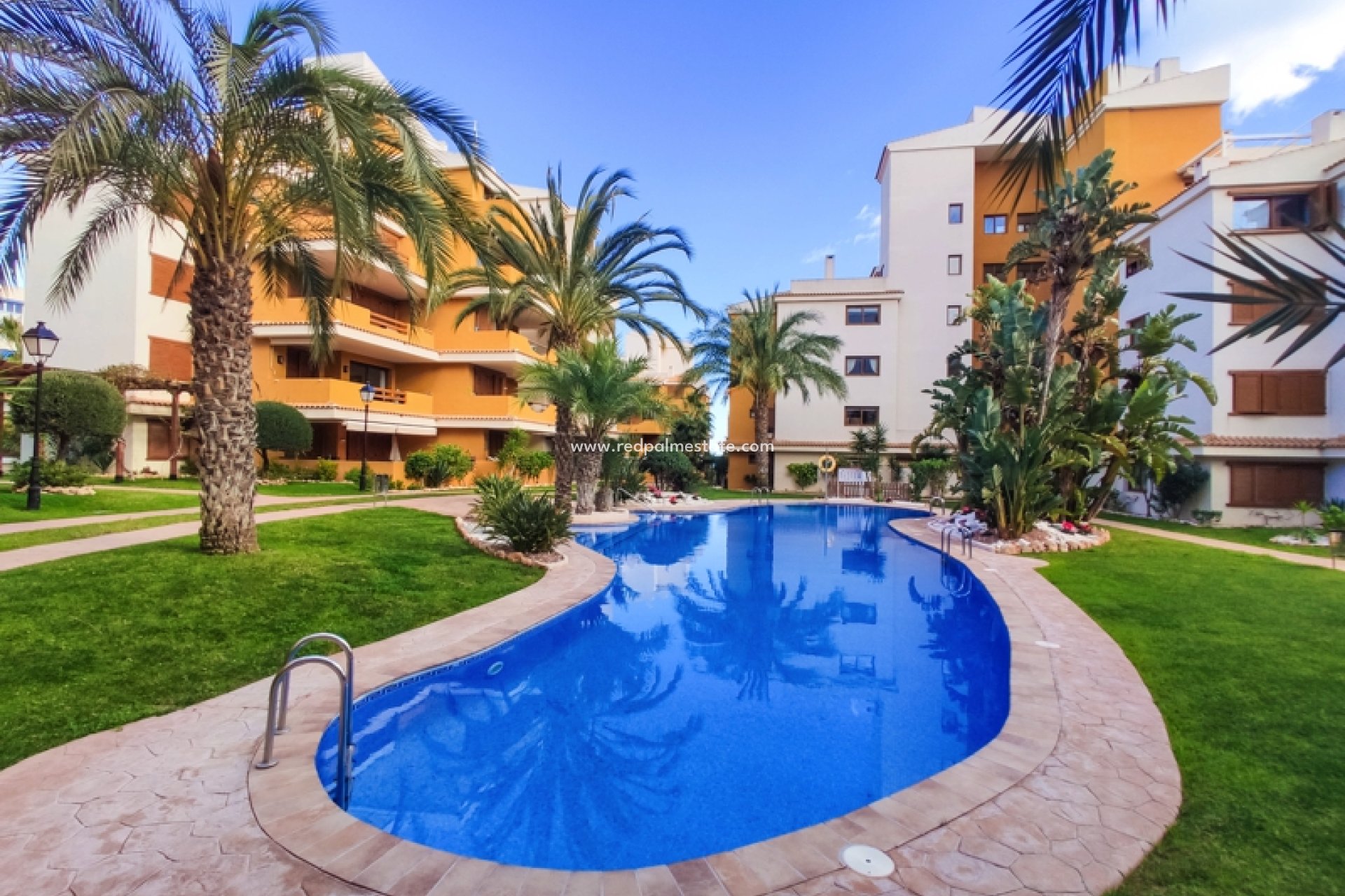 Korttidsuthyrning - Lägenheter -
Torrevieja - La Entrada