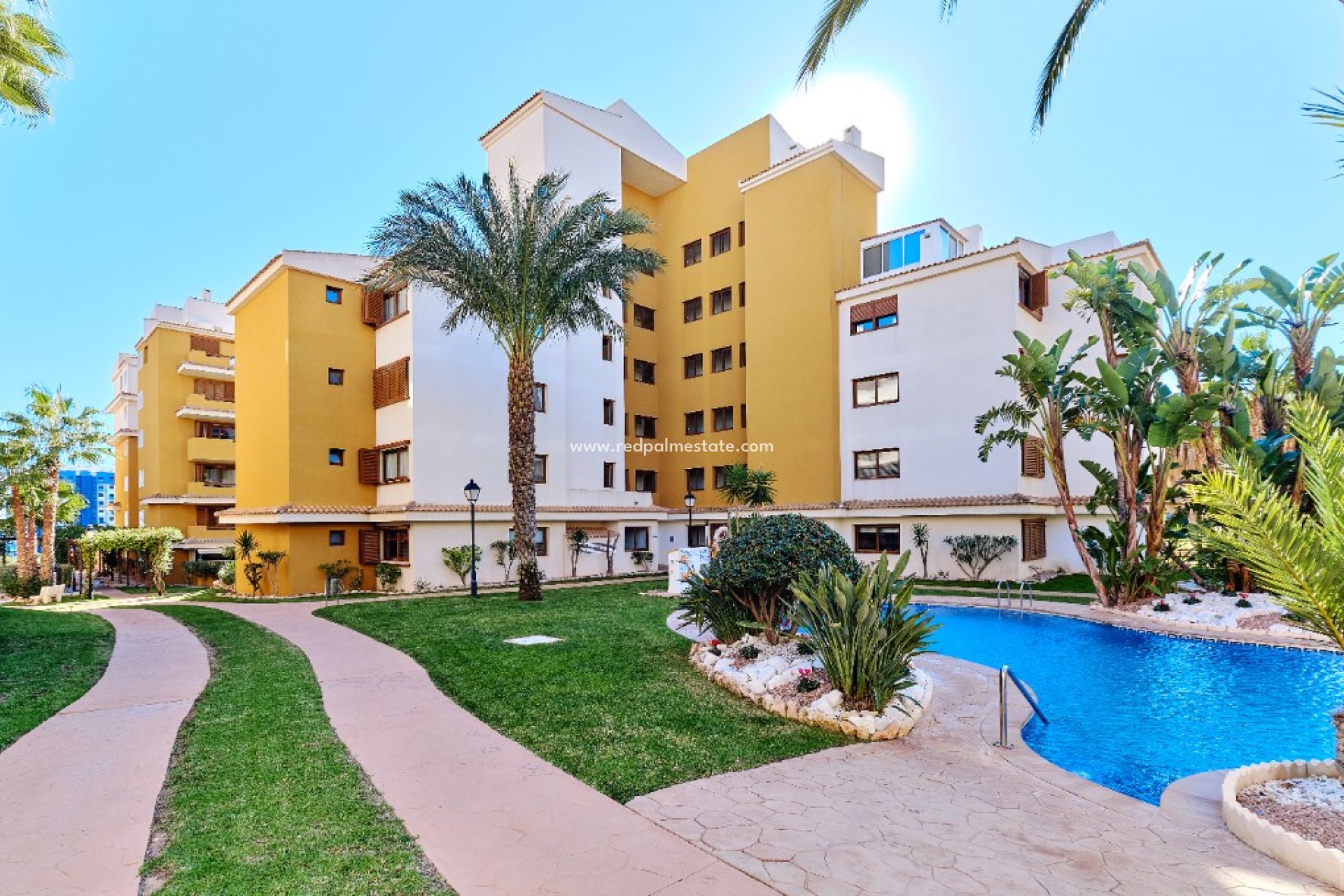 Korttidsuthyrning - Lägenheter -
Torrevieja - La Entrada