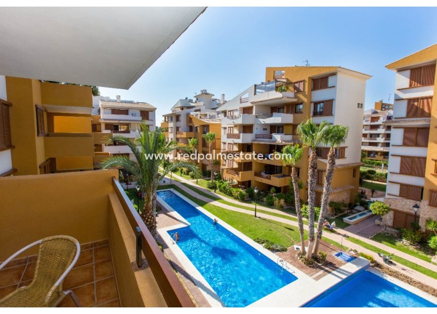 Korttidsuthyrning - Lägenheter -
Torrevieja - La Recoleta