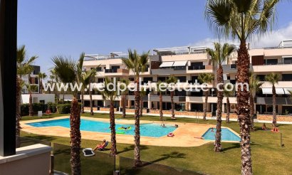 Lägenhet - Återförsäljning - Orihuela Costa - Costa Blanca