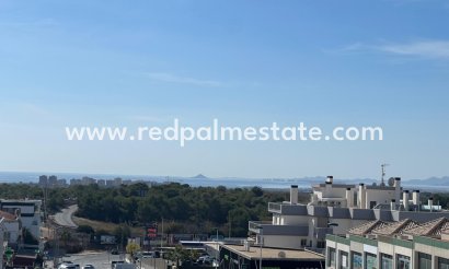 Lägenhet - Återförsäljning - Orihuela Costa - PAU 8