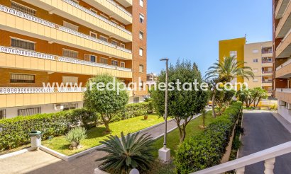 Lägenhet - Återförsäljning -
            Torrevieja - BE-36192