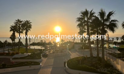 Lägenhet - Återförsäljning - Torrevieja - Punta prima