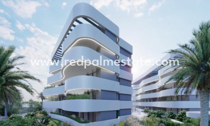 Lägenhet Penthouse - Nybyggnation - Guardamar del Segura - El Raso