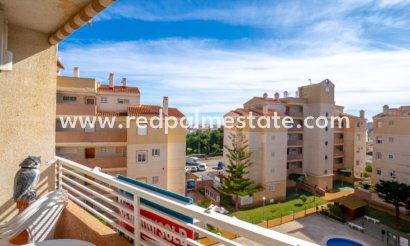 Lägenheter - Återförsäljning - Torrevieja - Torrevieja