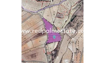 Land - Resale - Pinoso - Inland