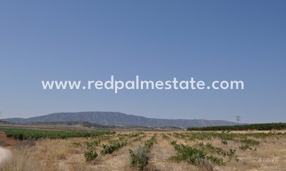 Land - Videresalg - Pinoso - Inland