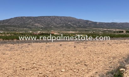 Land - Videresalg -
            Pinoso - MR2-89185