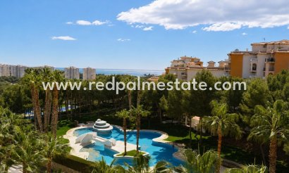 Leilighet - Videresalg - Orihuela Costa - Altos de Campoamor