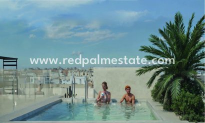 Leiligheter - Nybygg - Torrevieja - Torrevieja