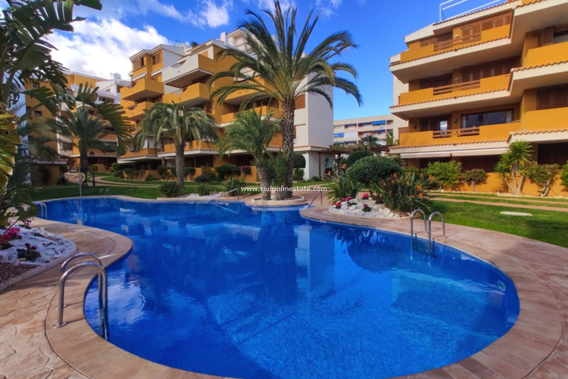 Location à court terme - Appartements -
Torrevieja - La Entrada