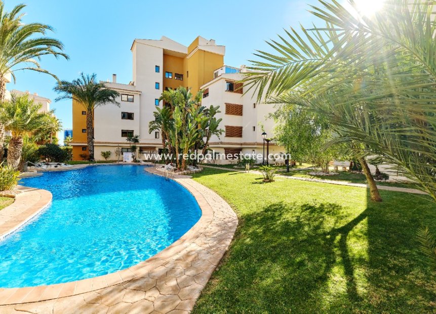 Location à court terme - Appartements -
Torrevieja - La Entrada