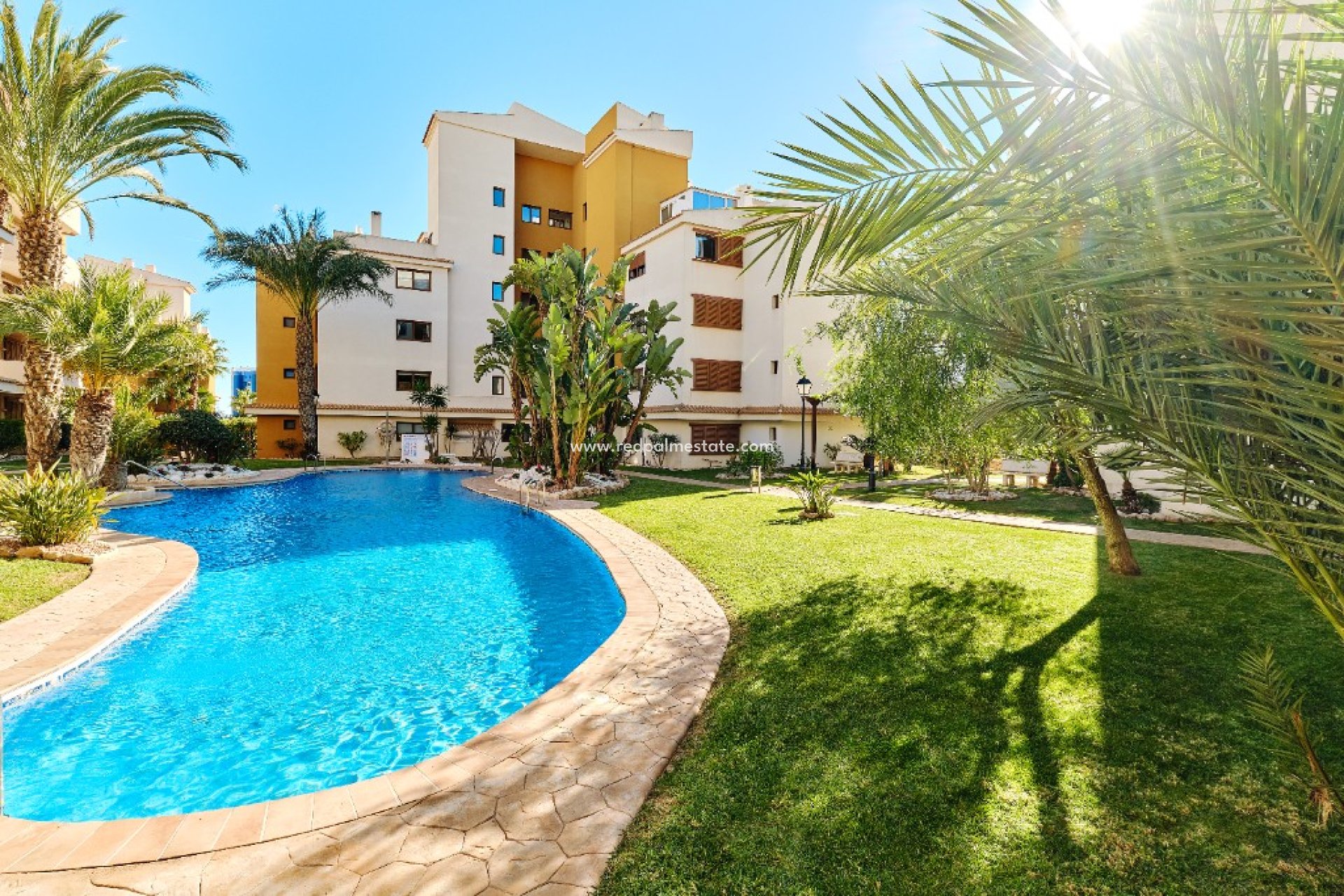 Location à court terme - Appartements -
Torrevieja - La Entrada