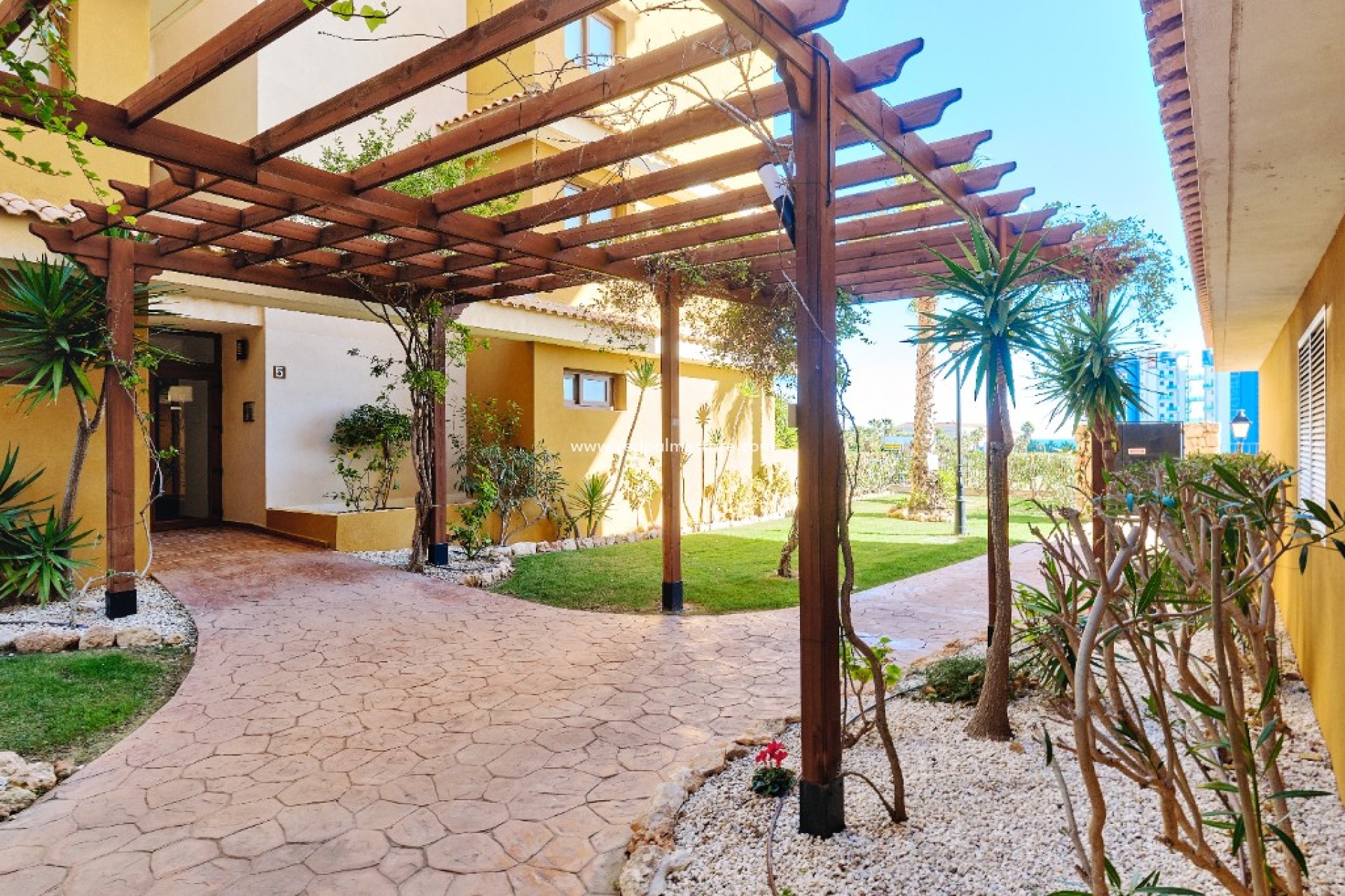 Location à court terme - Appartements -
Torrevieja - La Entrada